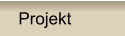 Projekt